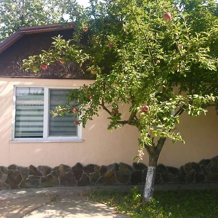 Apartments With Kitchen And Garden Kiev Exterior foto